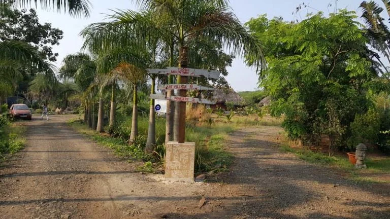 image5