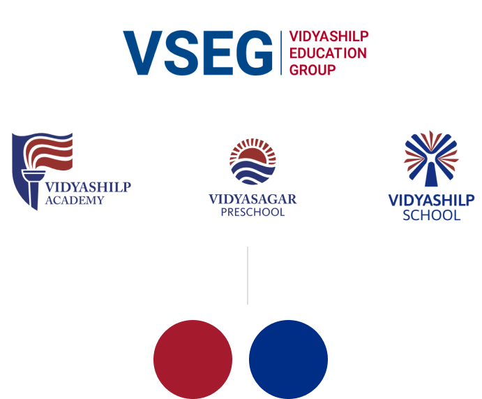 VSEG legacy
