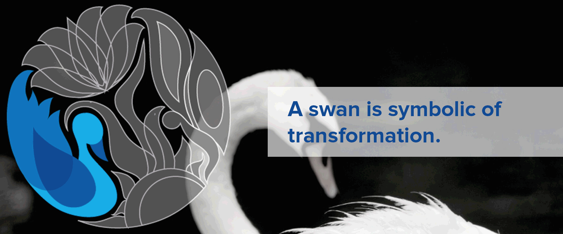 Butterfly Symbolism